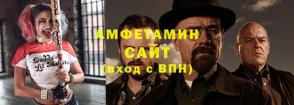 шишки Абаза
