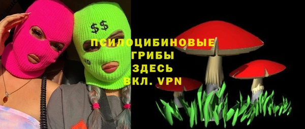 прущий лед Алексеевка