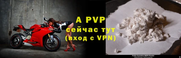 шишки Абаза