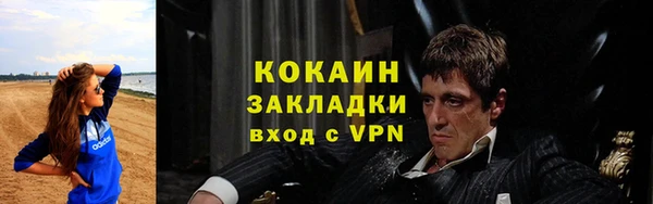 шишки Абаза