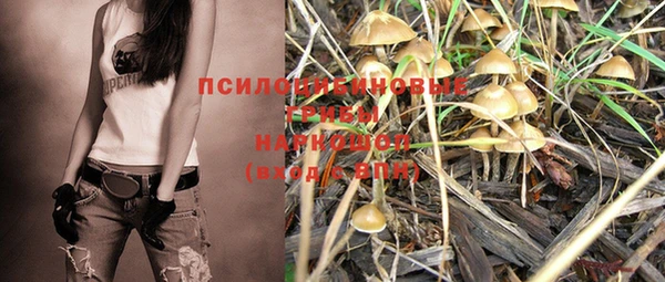 шишки Абаза
