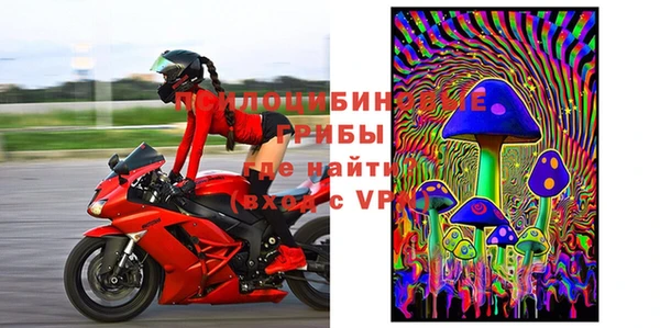 дживик Абинск