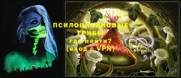 шишки Абаза