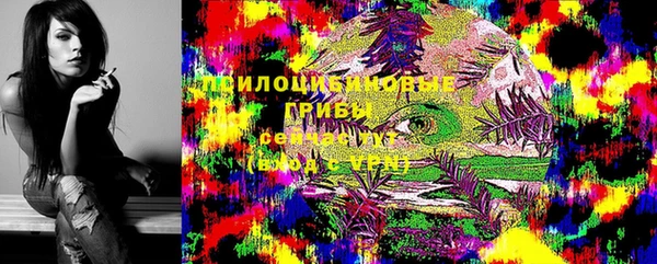 прущие грибы Алексин
