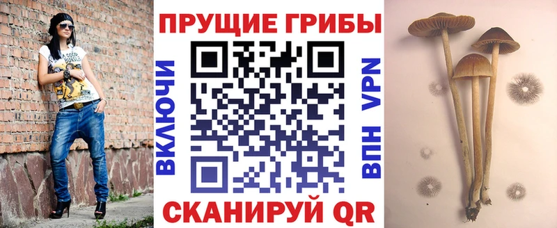 гидра tor Луга Галлюциногенные грибы MAGIC MUSHROOMS купить цена