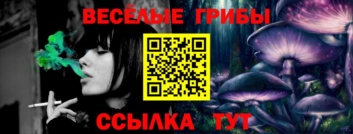 Галлюциногенные грибы ЛСД Луга